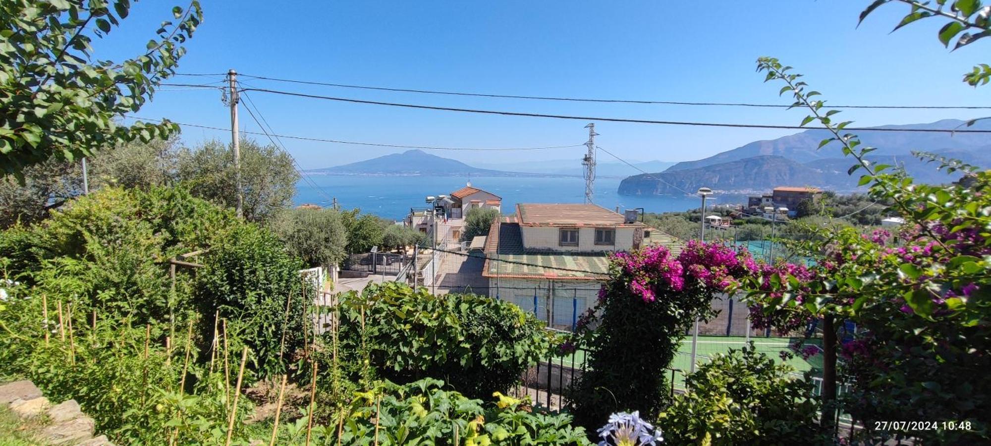 Lally'S Garden Bed and Breakfast Península Sorrentina Exterior foto